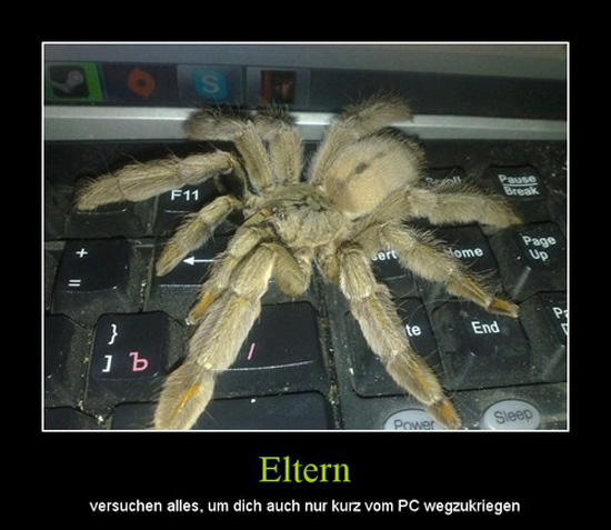 best of demotivators