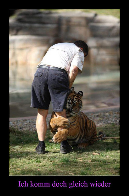 best of demotivators