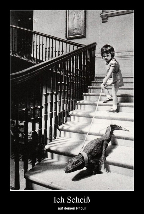 best of demotivators