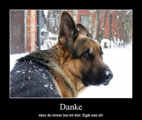 best of demotivators