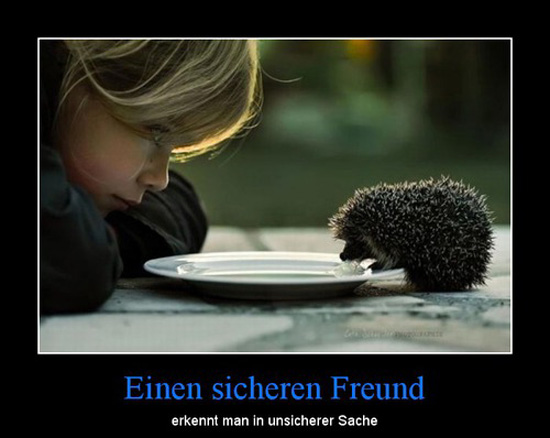 best of demotivators
