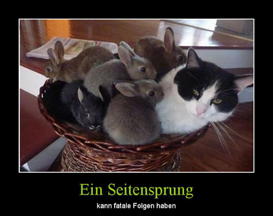 best of demotivators