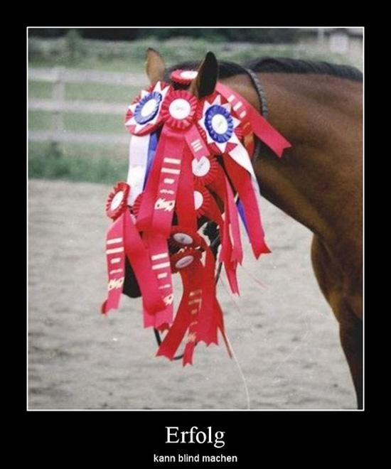 best of demotivators