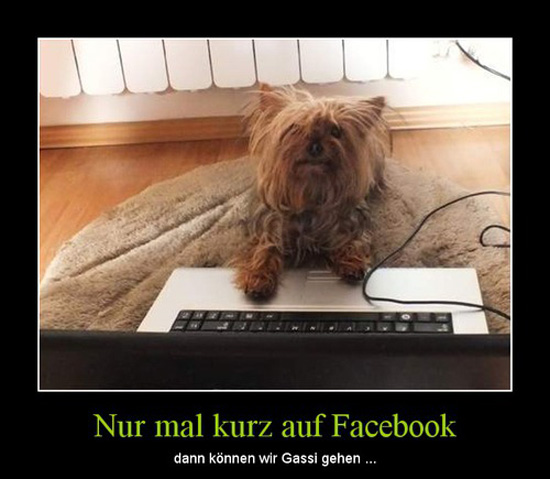best of demotivators