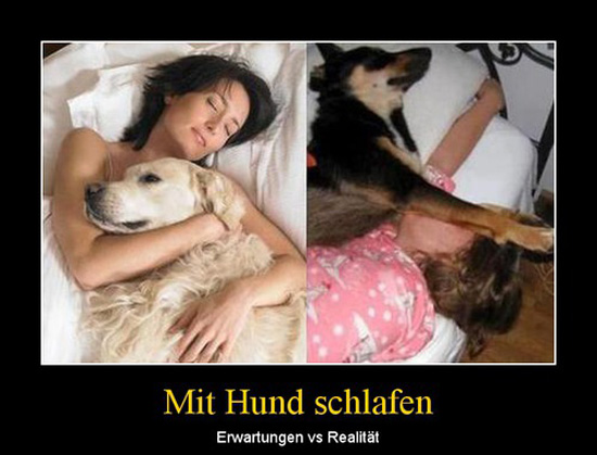 best of demotivators