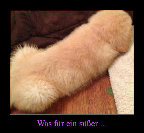 best of demotivators