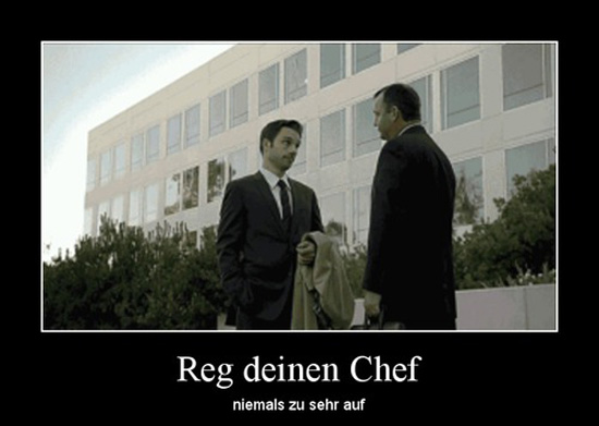 best of demotivators