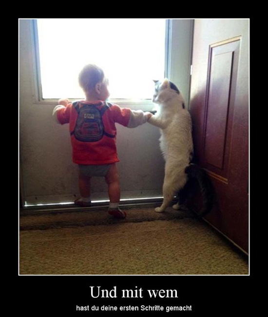 best of demotivators