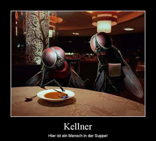 best of demotivators