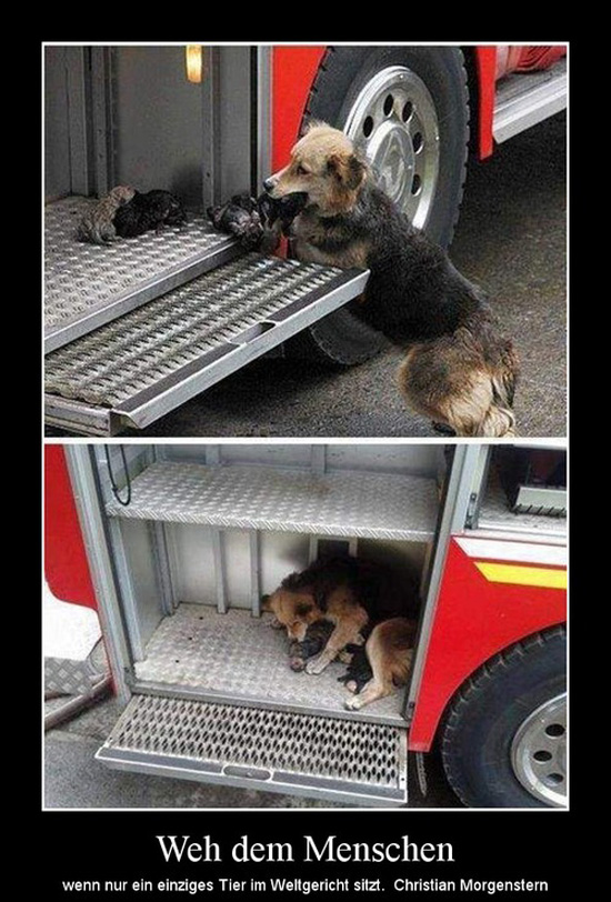best of demotivators