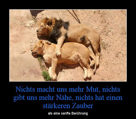 best of demotivators