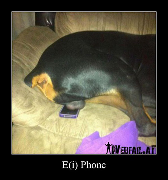 best of demotivators