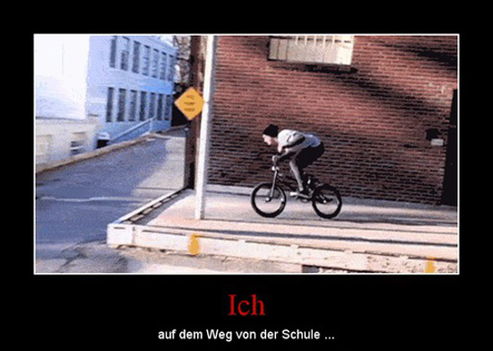 best of demotivators