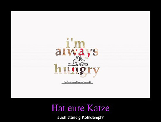 best of demotivators