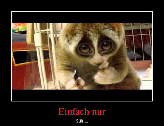 best of demotivators