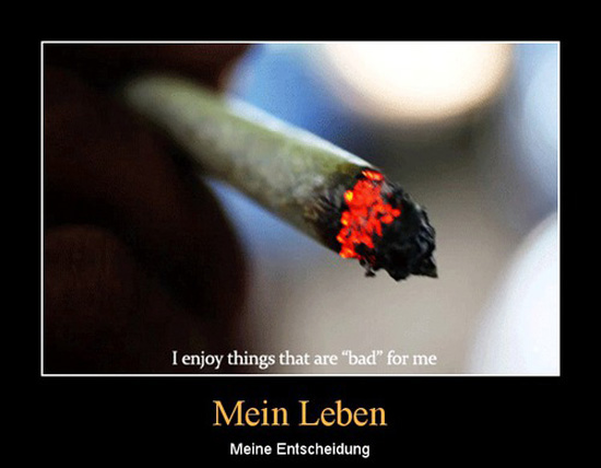 best of demotivators