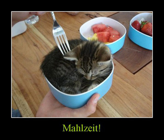 best of demotivators