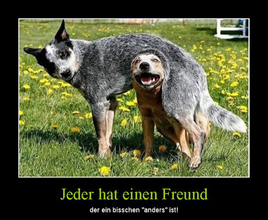 best of demotivators