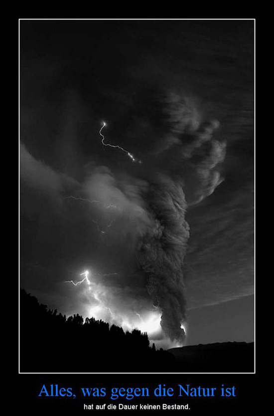 best of demotivators
