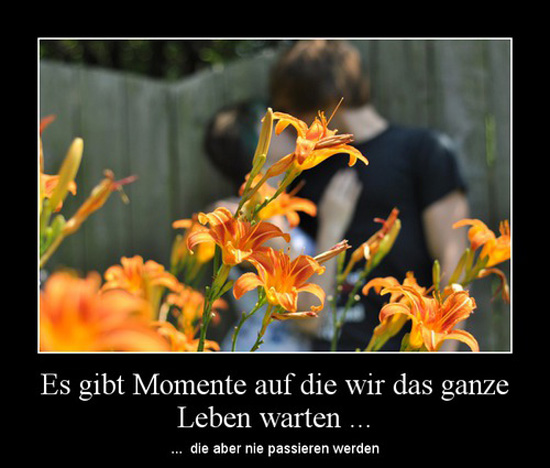 best of demotivators
