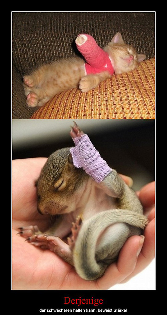 best of demotivators