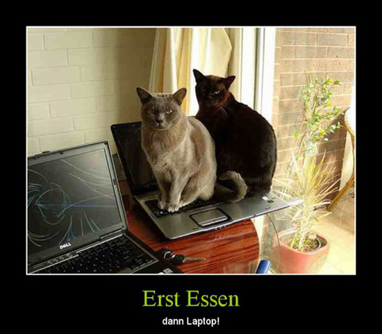 best of demotivators