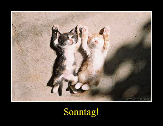 best of demotivators