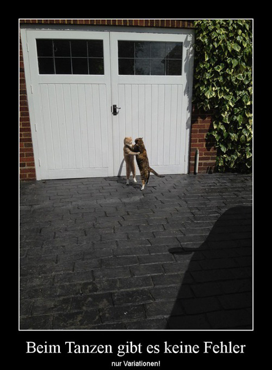 best of demotivators