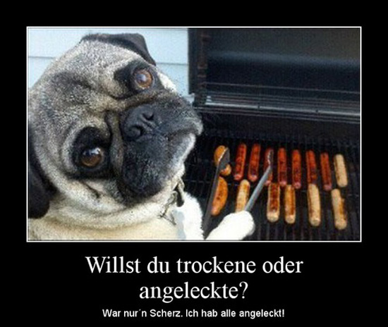 best of demotivators