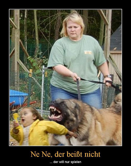 best of demotivators