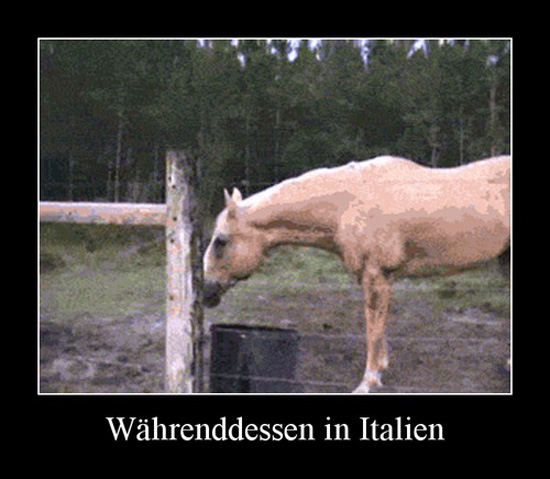 best of demotivators