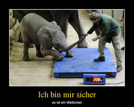 best of demotivators
