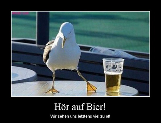 best of demotivators