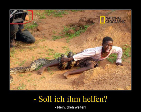 best of demotivators