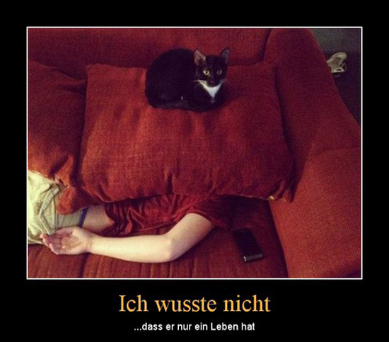 best of demotivators