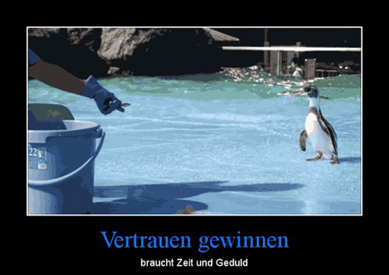 best of demotivators