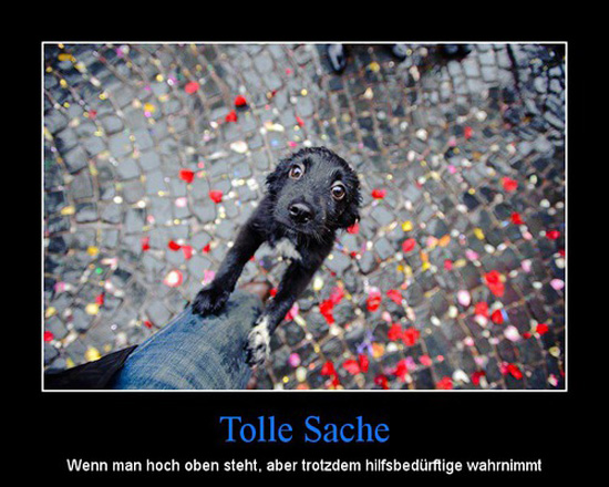 best of demotivators