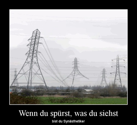 best of demotivators