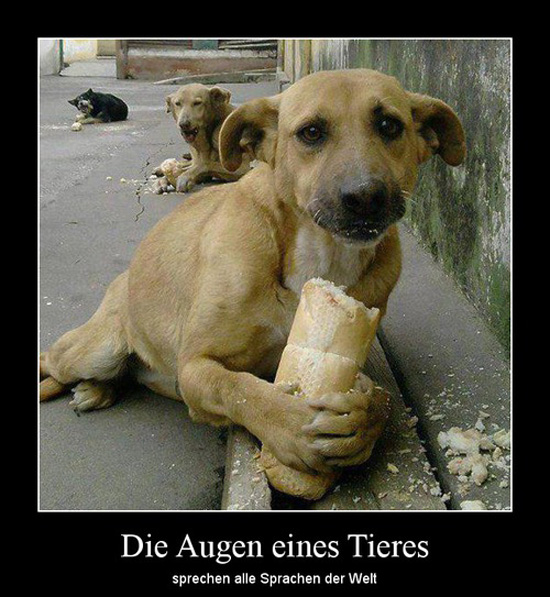 best of demotivators
