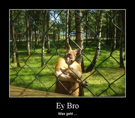 best of demotivators