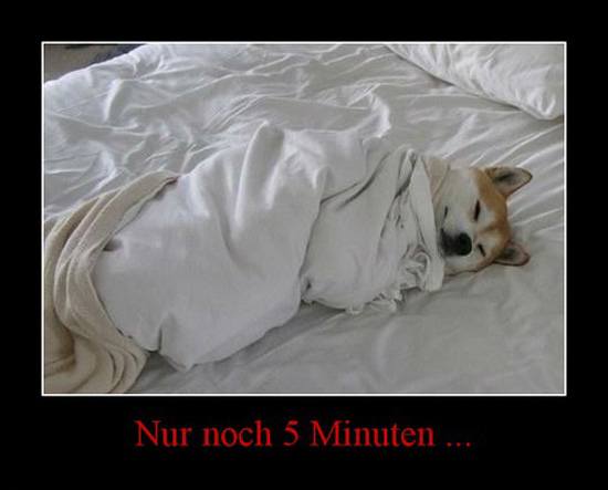 best of demotivators