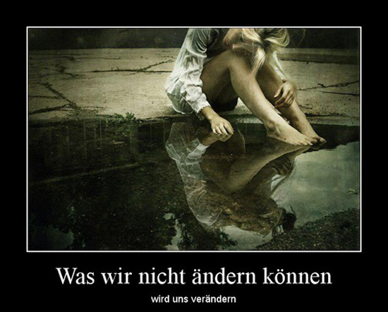 best of demotivators