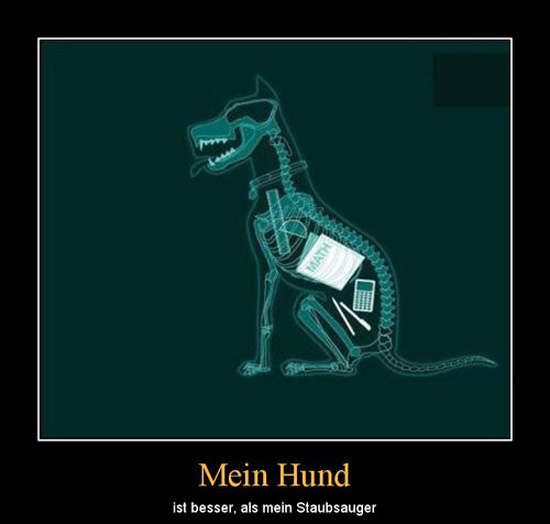 best of demotivators