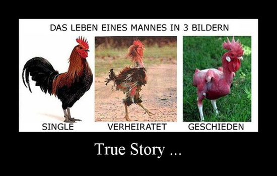 best of demotivators