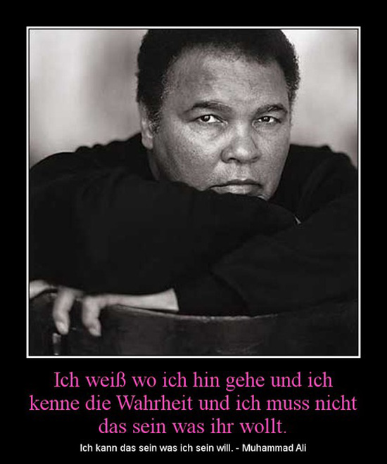 best of demotivators