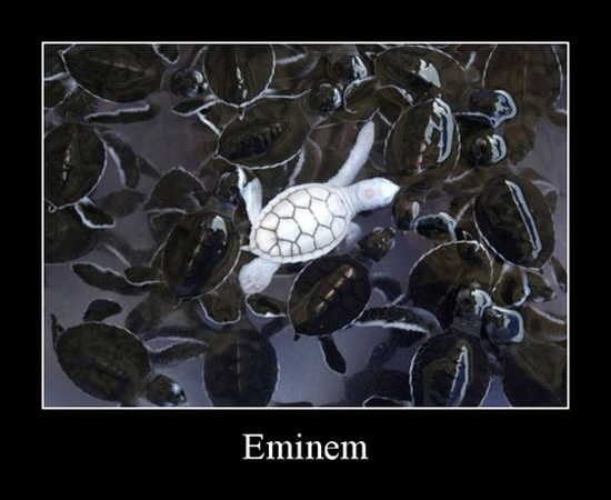 best of demotivators