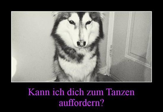 best of demotivators
