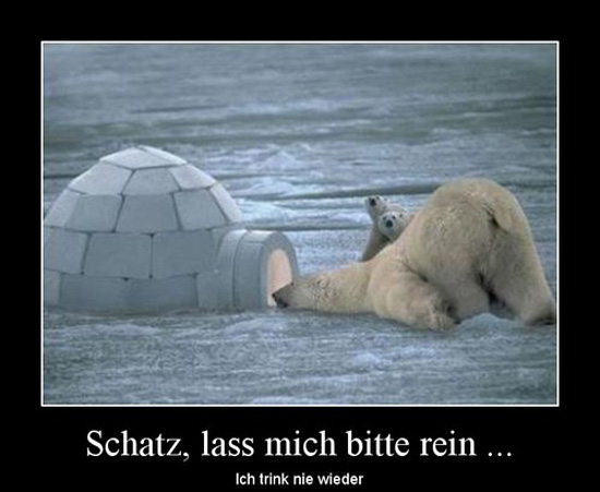 best of demotivators