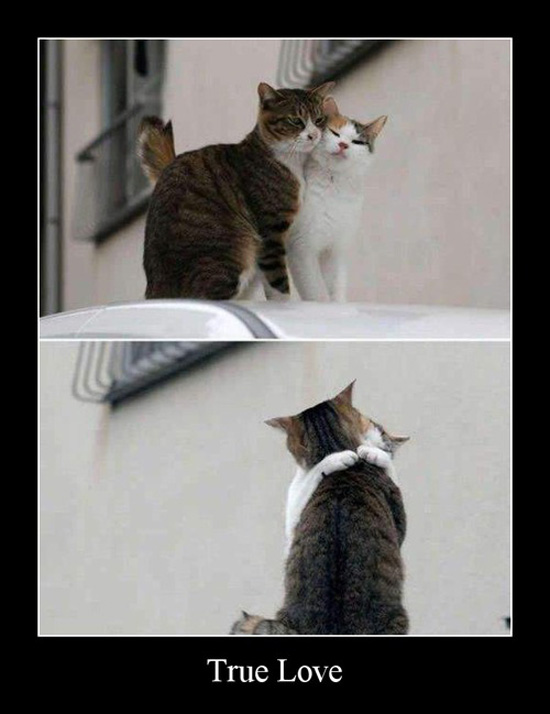 best of demotivators