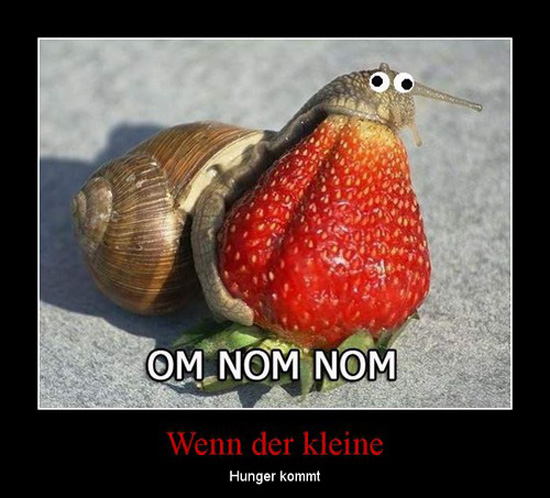 best of demotivators